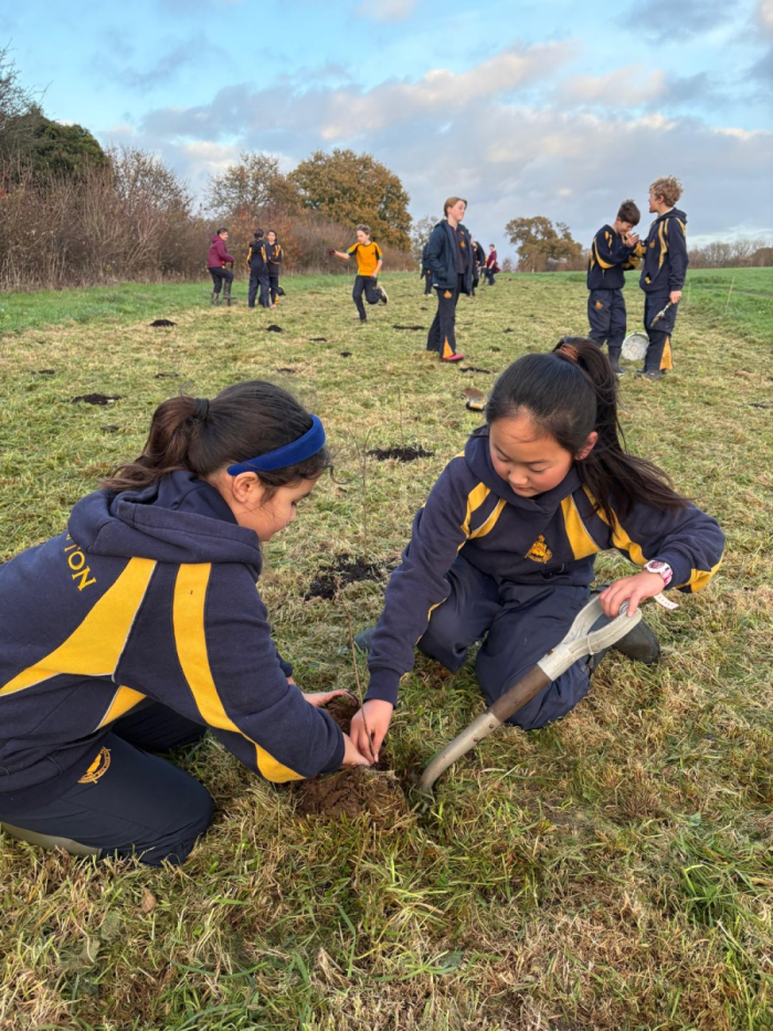 Headmasters Newsletter, Friday 28th November 2025